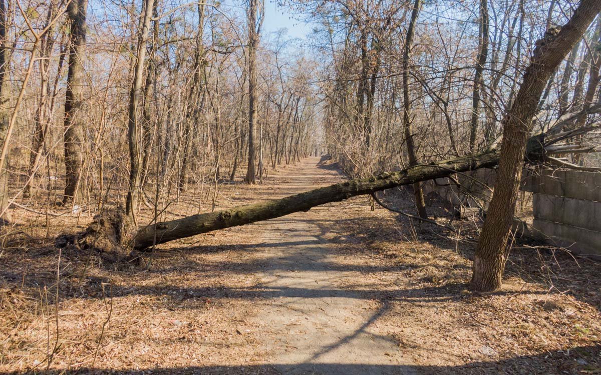 А вскоре тут появится даже тактильная плитка для маломобильных людей А вскоре тут появится даже тактильная плитка для маломобильных людей