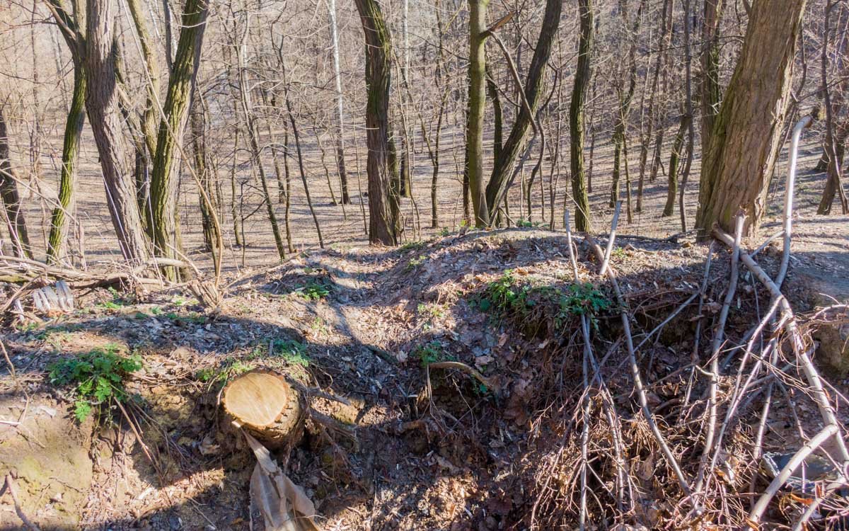 Также важно установить в парке мусорные баки, а пока - кое-где валяются кульки, пластиковые стаканчики и прочий хлам Также важно установить в парке мусорные баки, а пока - кое-где валяются кульки, пластиковые стаканчики и прочий хлам