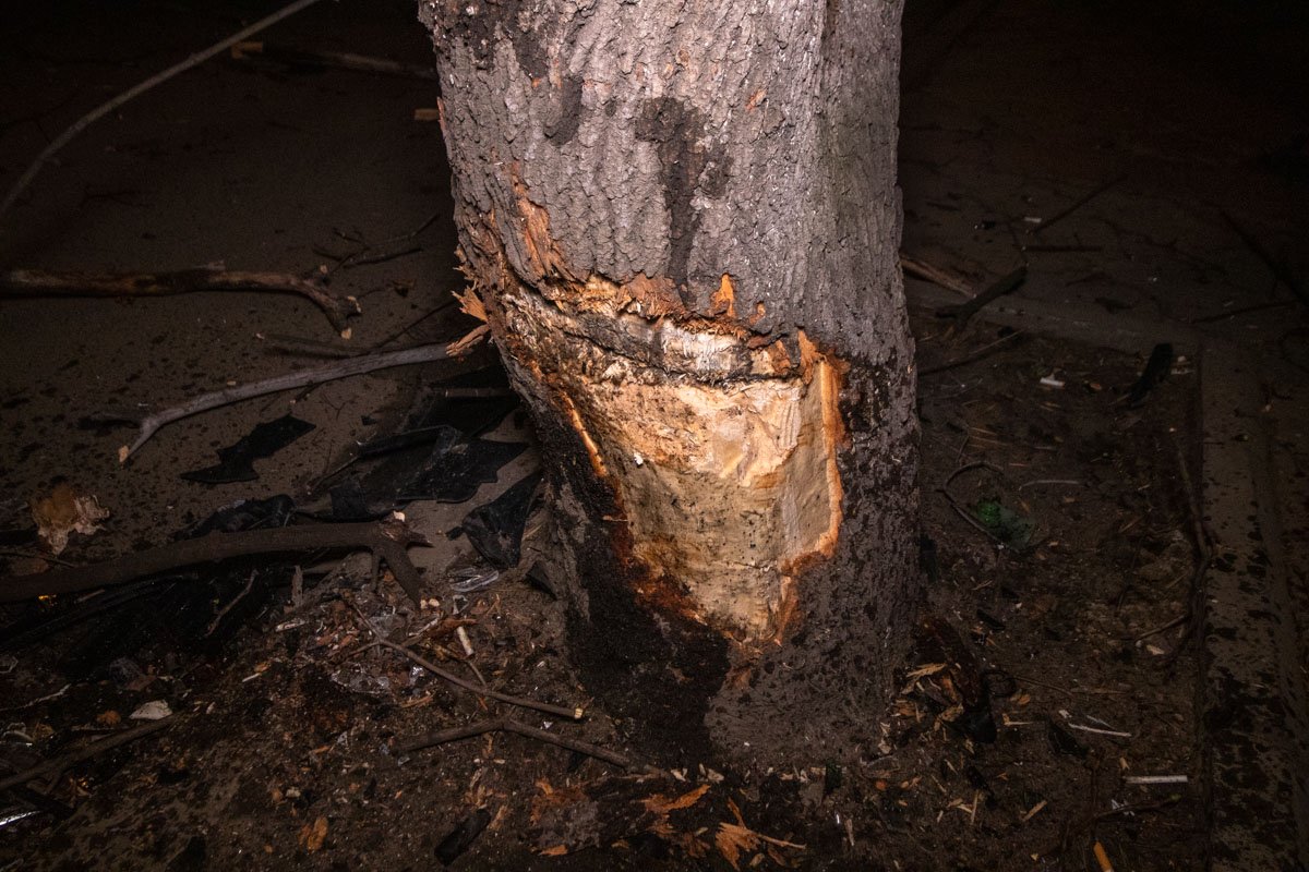 Инцидент случился около 01:00 Инцидент случился около 01:00