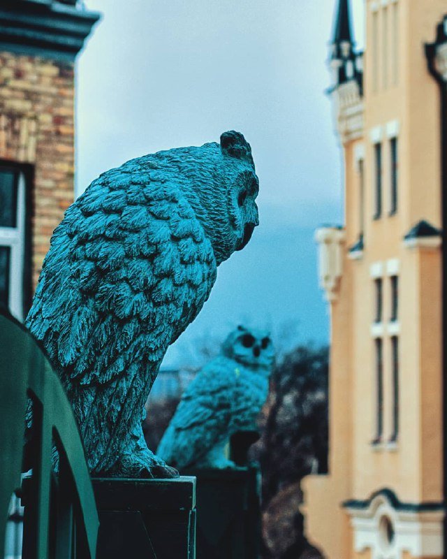 Стражи Андреевского спуска. Фото: @alex_bachurskiy