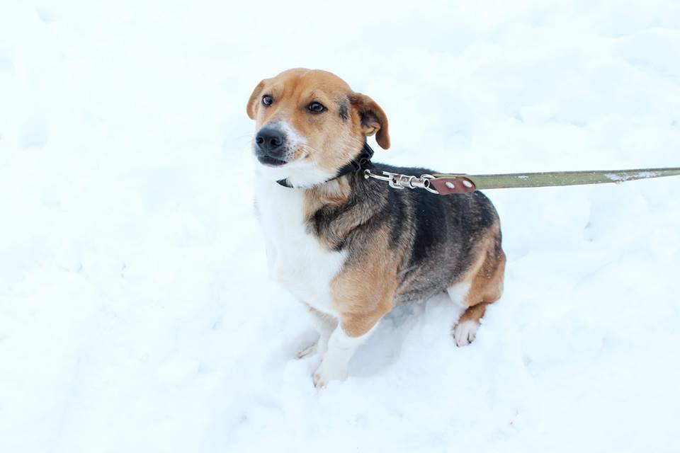 Подарить этой малышке любовь - лучшее, что вы можете сделать этой весной