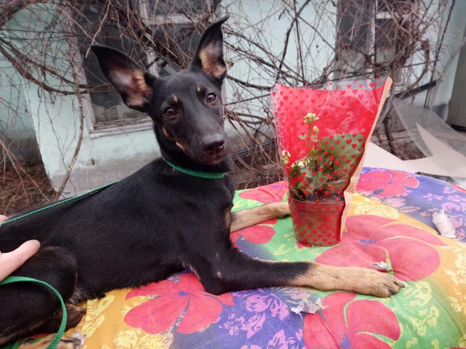 Март - сам по себе уже подарок!