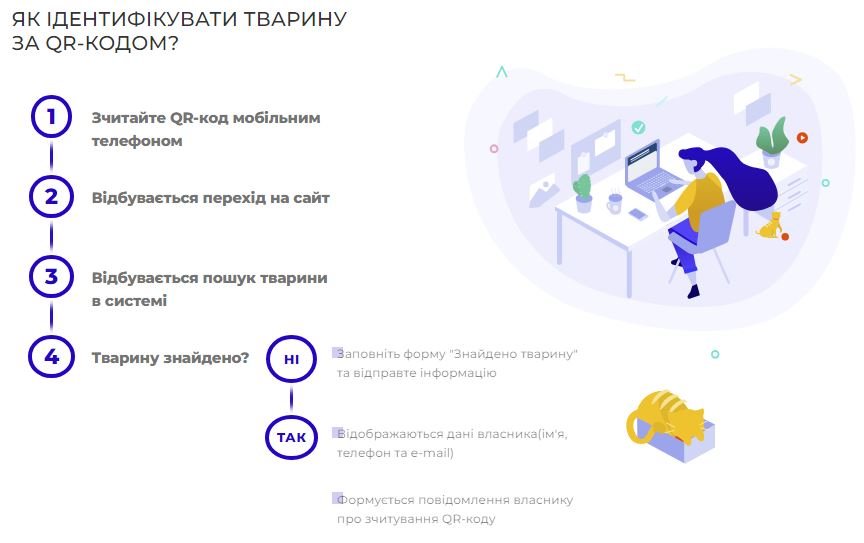 При помощи кода можно идентифицировать найденное животное При помощи кода можно идентифицировать найденное животное