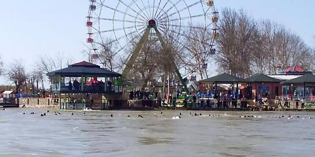 В аварии погибли 72 человека В аварии погибли 72 человека