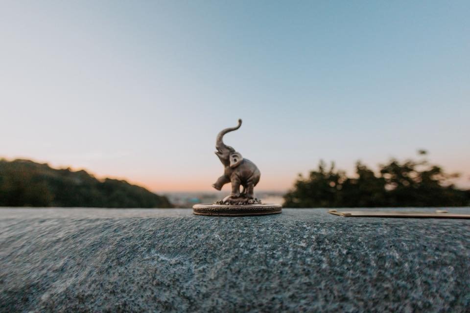 Проект "Шукай" поможет весело и полезно провести весенние каникулы Проект "Шукай" поможет весело и полезно провести весенние каникулы