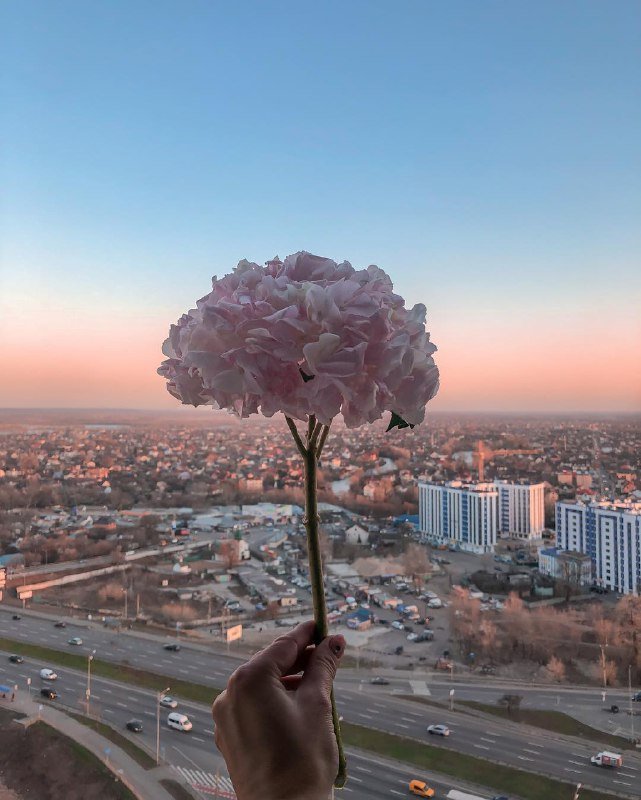 Если у слова "нежность" есть визуализация, то это она. Фото: @elineckajulia