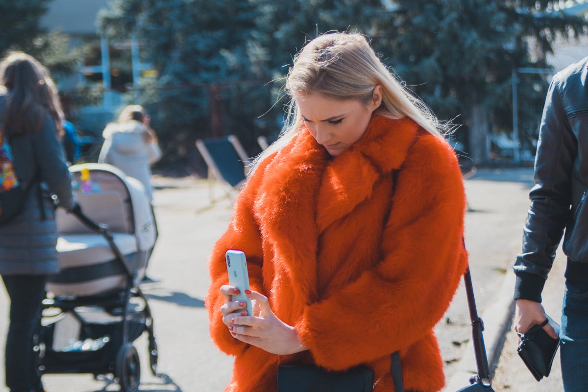 Белка или лиса? Белка или лиса?