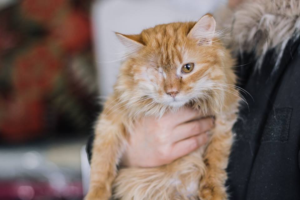 Ласковый Папай хочет к вам на ручки Ласковый Папай хочет к вам на ручки