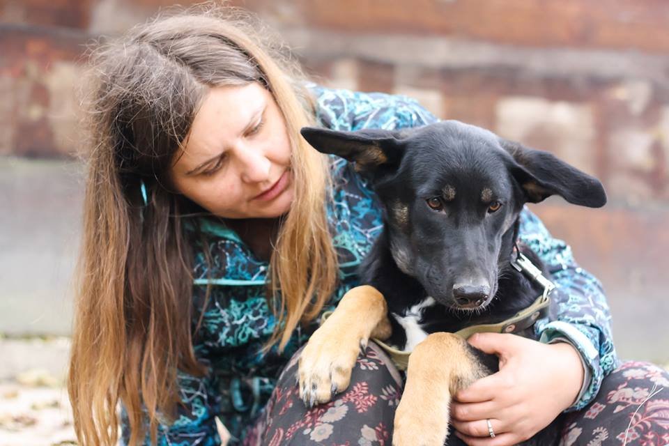 Сторожевой пес и милашка в одном флаконе Сторожевой пес и милашка в одном флаконе