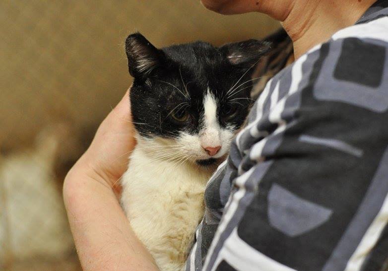 Малыш Ефим ждет любимого хозяина Малыш Ефим ждет любимого хозяина