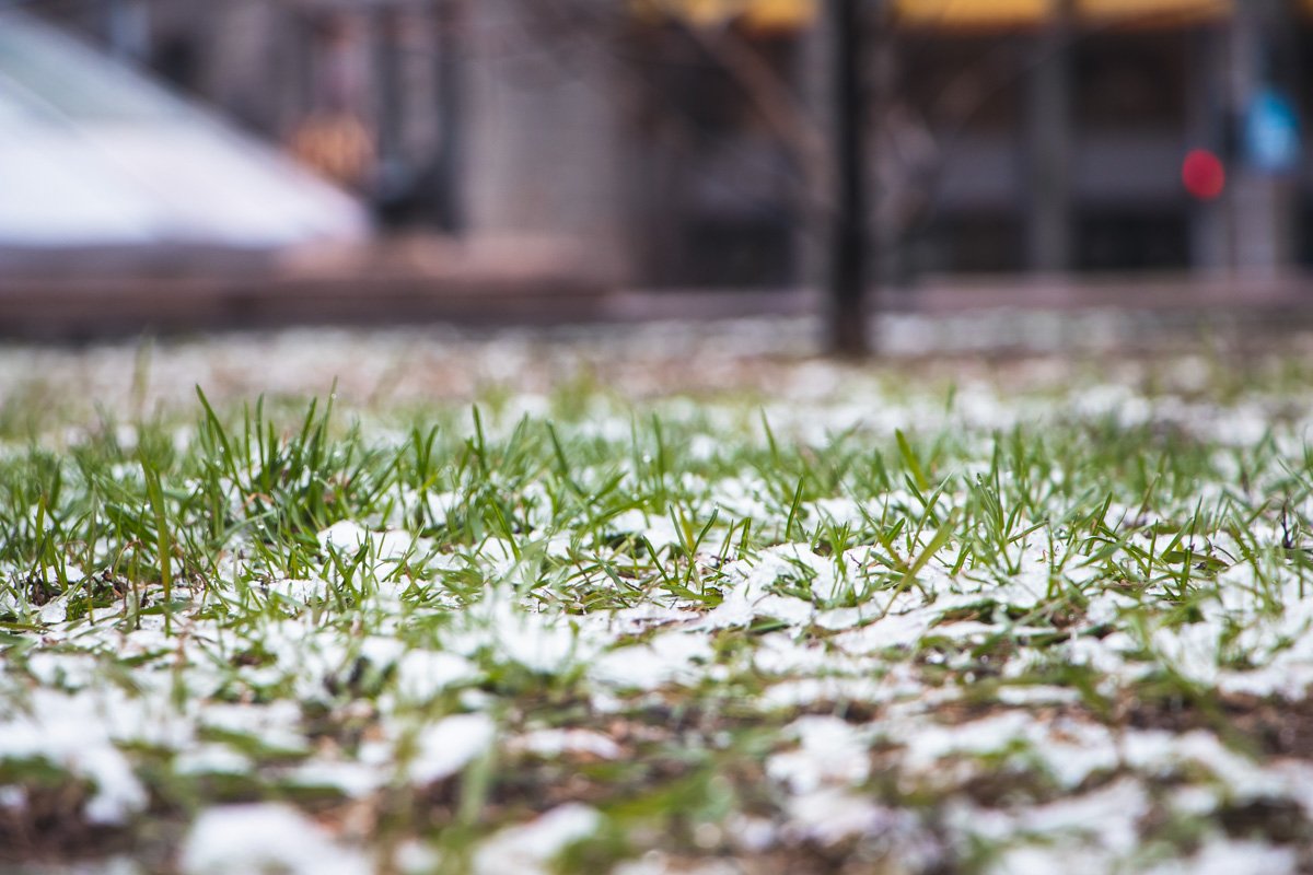 Травка, не мерзни:(