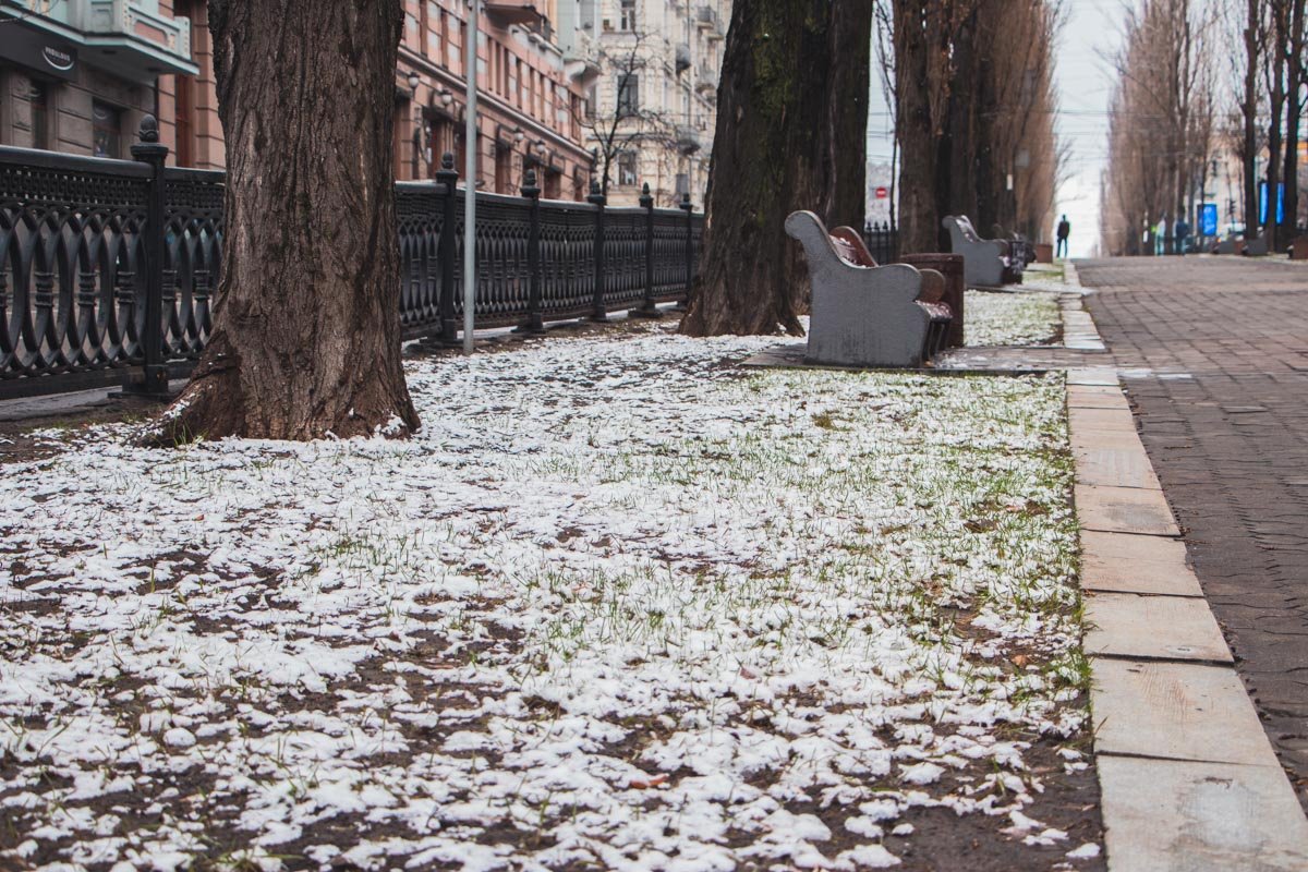 Весна победит! И мы совсем не о политике:)