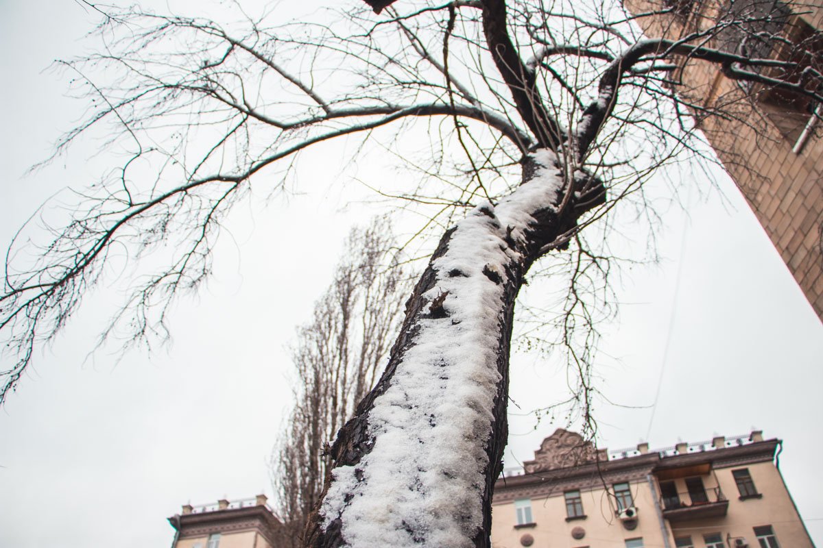 А какая погода у вас за окном?