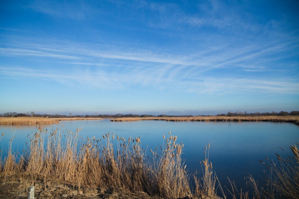 Петр Порошенко предложил действенный механизм улучшения экологии: как он будет работать 3
