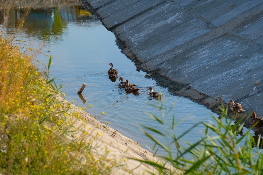 Петр Порошенко предложил действенный механизм улучшения экологии: как он будет работать 5