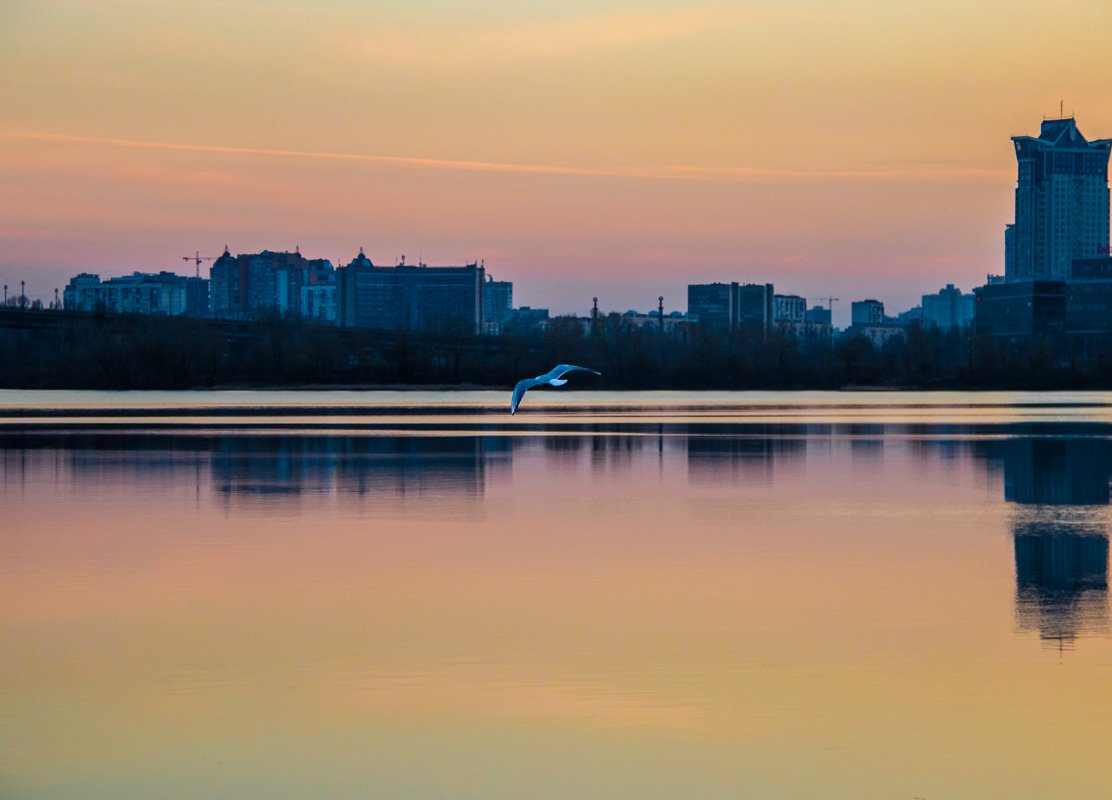 Пробуждаются люди и птицы Пробуждаются люди и птицы