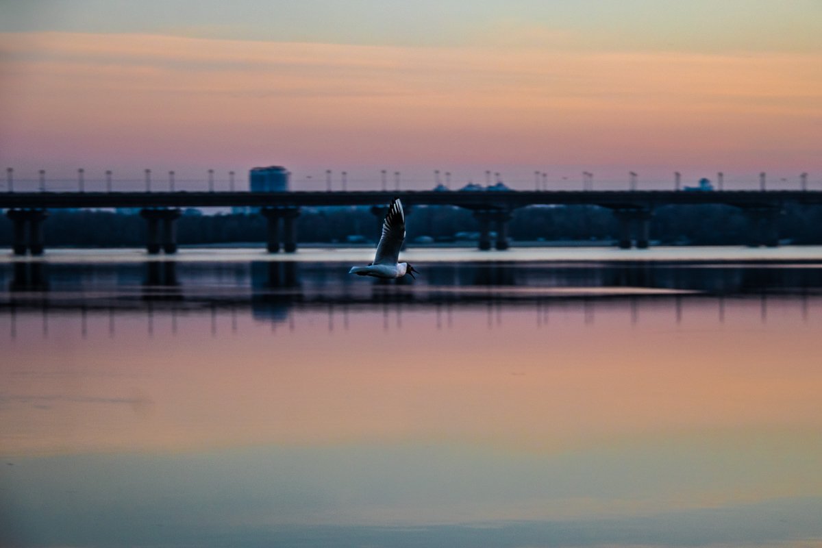 И пусть вместо будильника вас разбудят крики чаек И пусть вместо будильника вас разбудят крики чаек