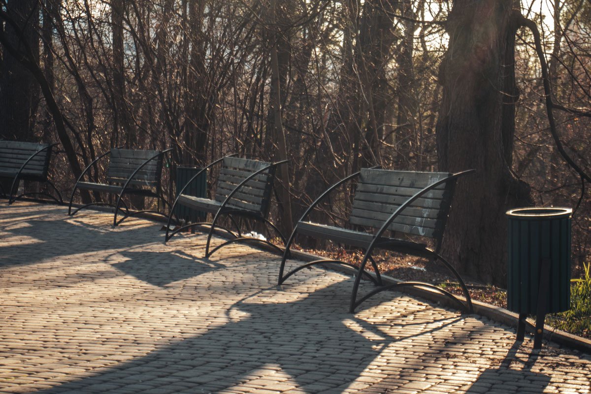 На восстановленных аллеях разместились такие уютные лавочки, на которых так приятно сидеть весной
