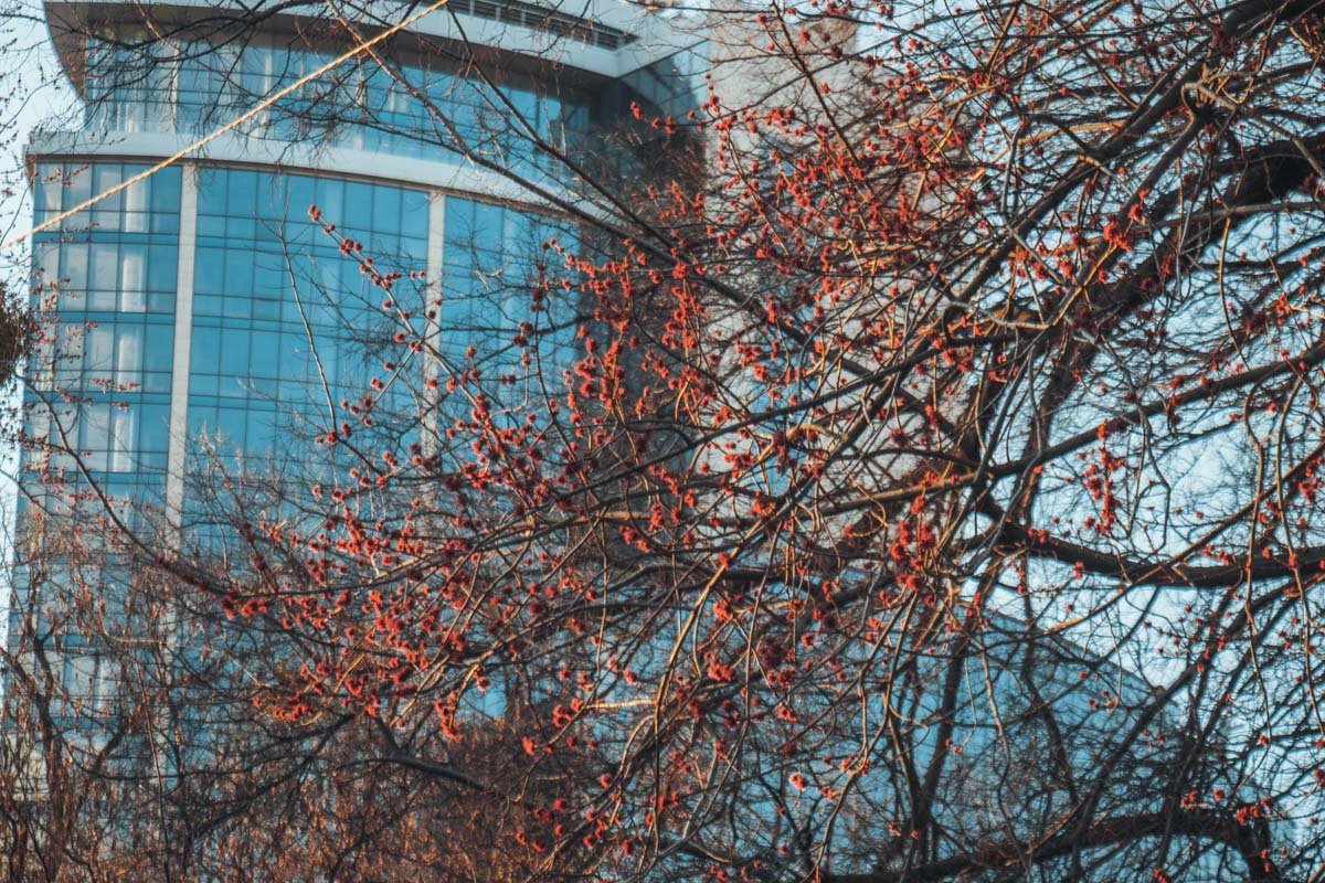 А напоследок - еще немного выставочных видов ботанического сада