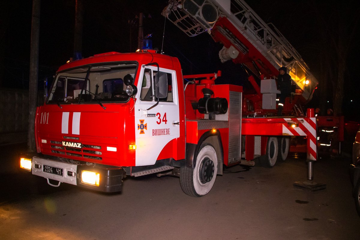 В борьбе с огнем задействовали 12 единиц специальной техники 