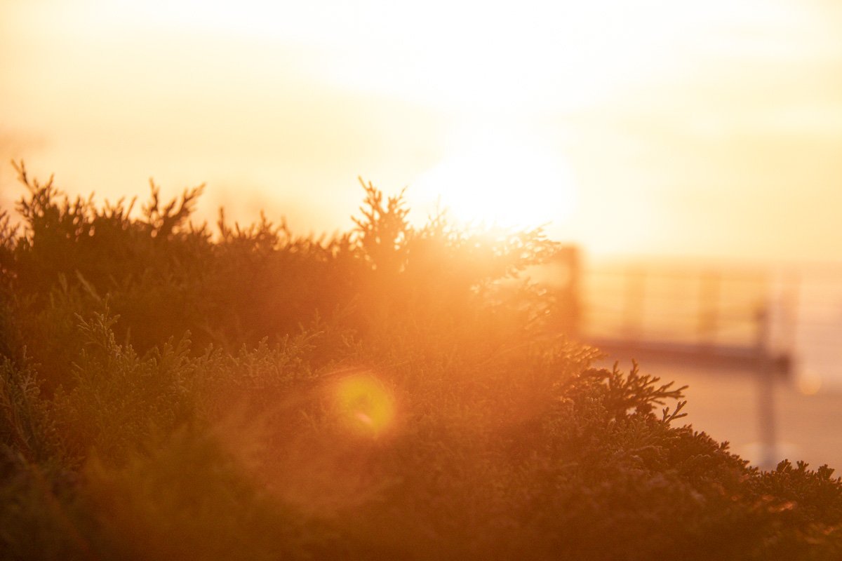 Теплые лучики солнца заряжают природу весенней энергетикой