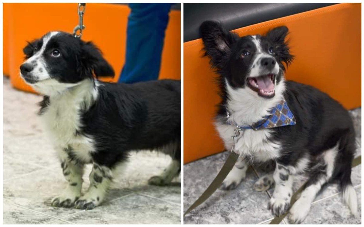 Улыбака-Бонечка хочет домой Улыбака-Бонечка хочет домой