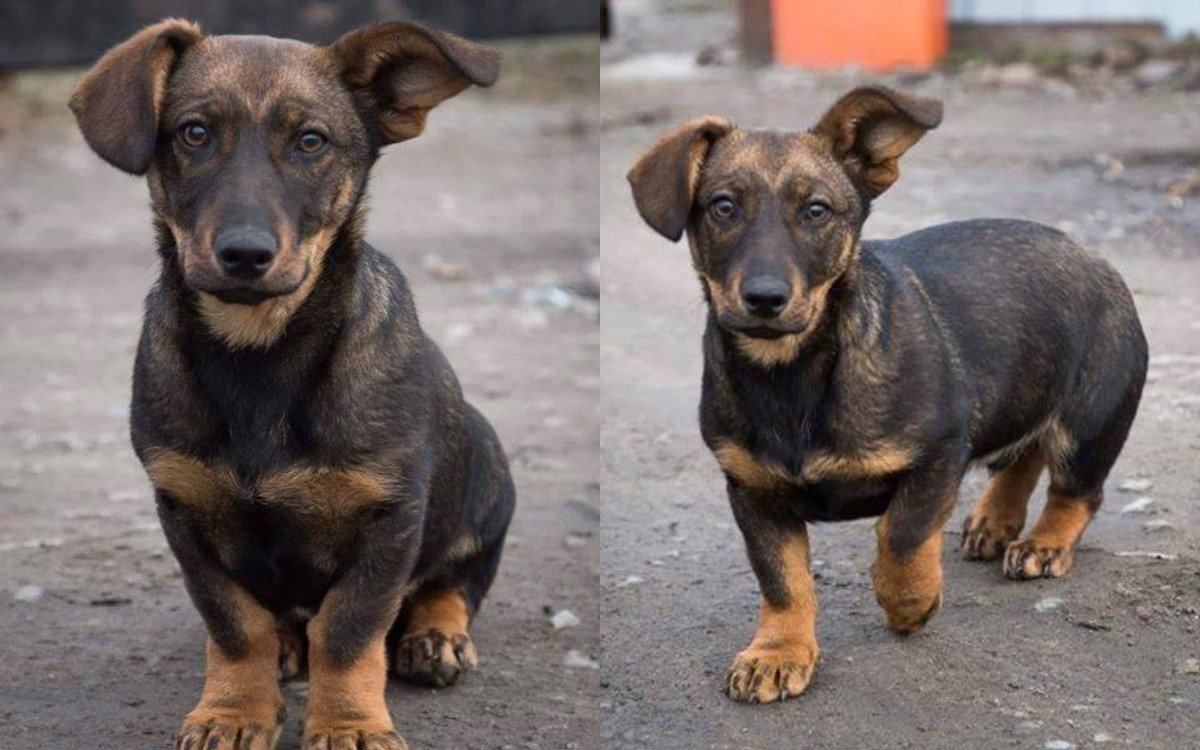 Эти глаза не против, когда твои напротив Эти глаза не против, когда твои напротив