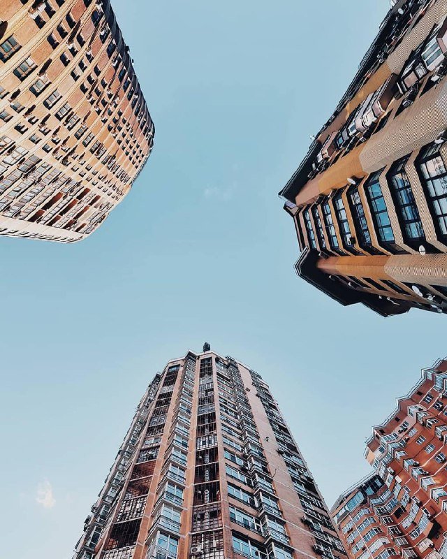 Великаны большого города. Фото: @valik_chern Великаны большого города. Фото: @valik_chern