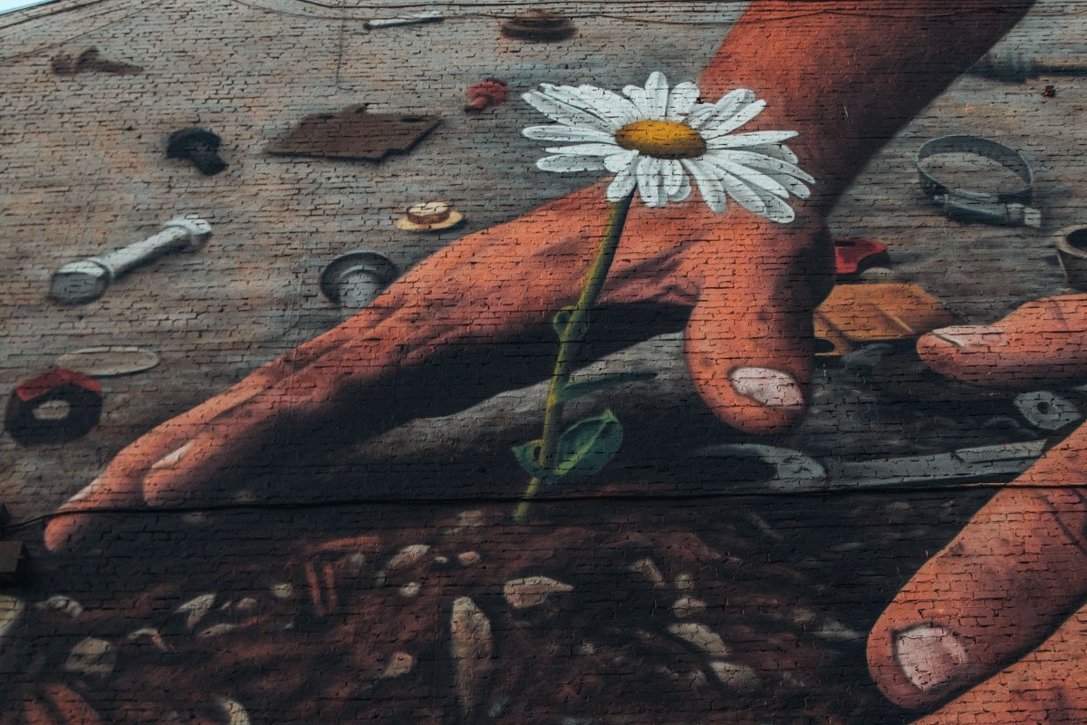 Муралы украшают город и превращают его в галерею под открытым небом Муралы украшают город и превращают его в галерею под открытым небом