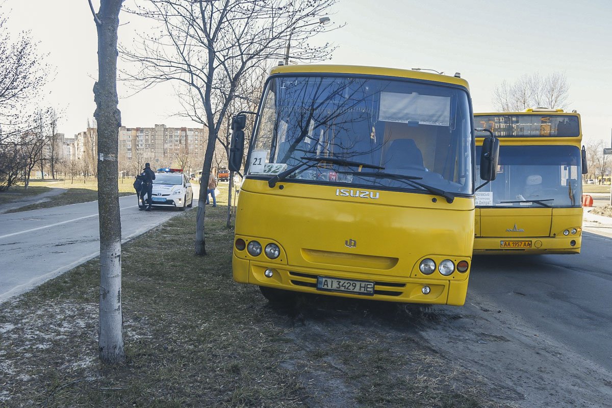 Также из-за аварии затруднено движение по улице Каштановой в сторону проспекта Владимира Маяковского Также из-за аварии затруднено движение по улице Каштановой в сторону проспекта Владимира Маяковского