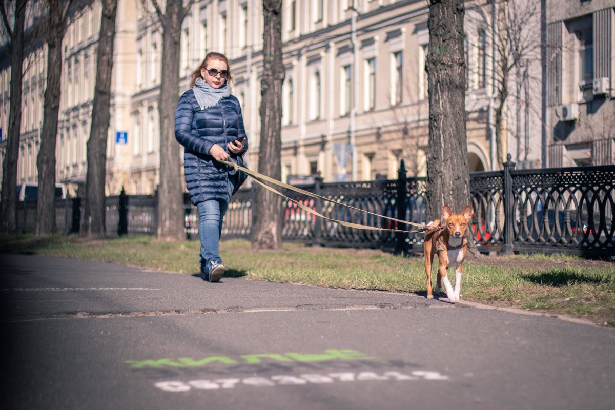 Кто из двоих красавиц позировал лучше? Кто из двоих красавиц позировал лучше?
