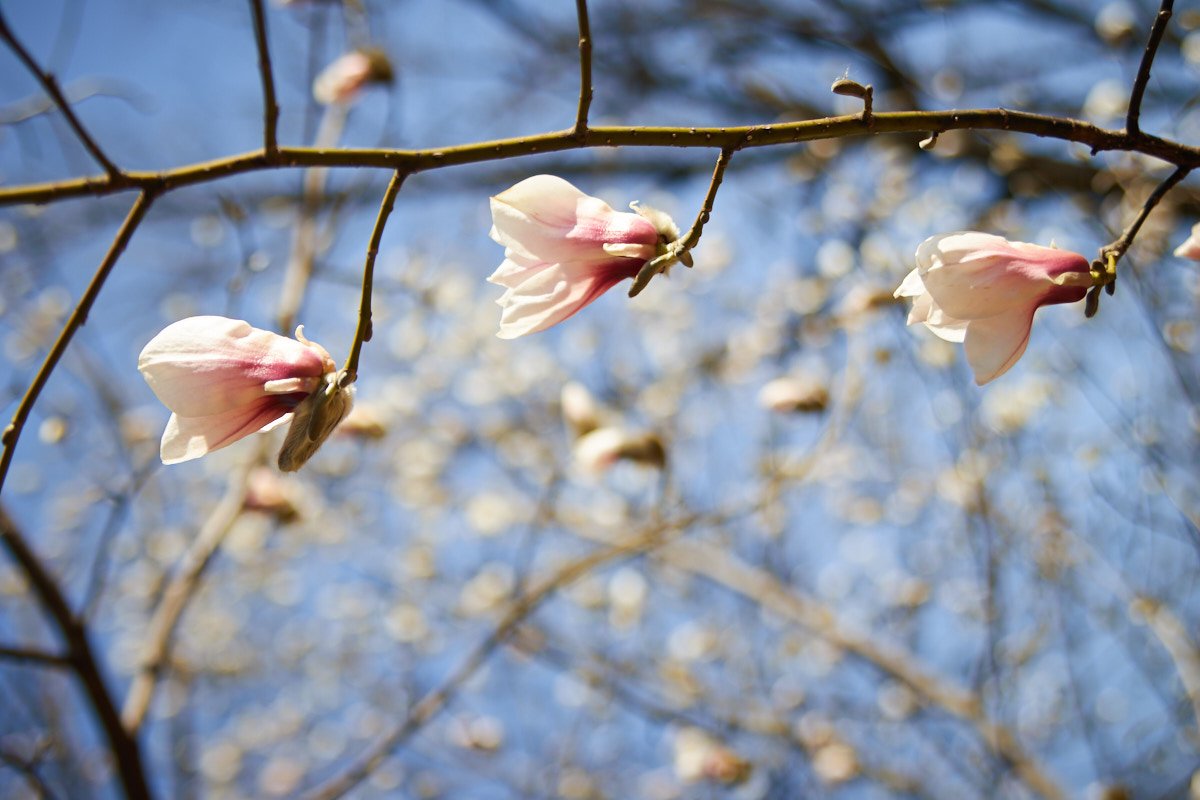Ну, что мы вам говорили? Нежность во всей красе...