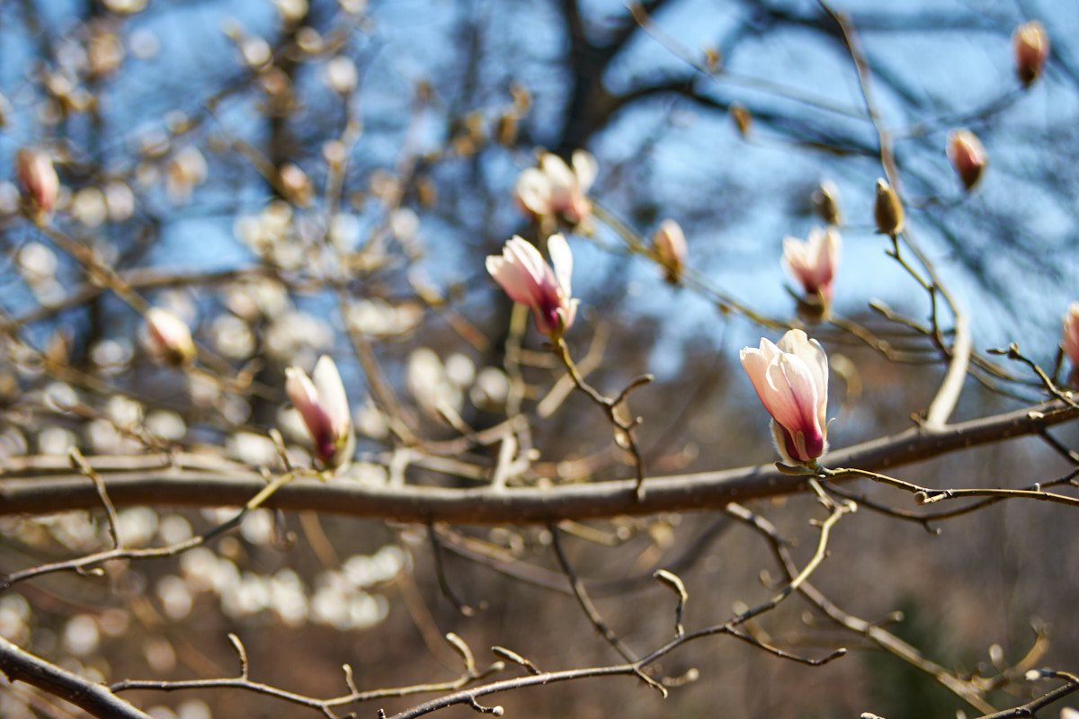 Только у нас сразу начинает звучать песня Ариэль? 
