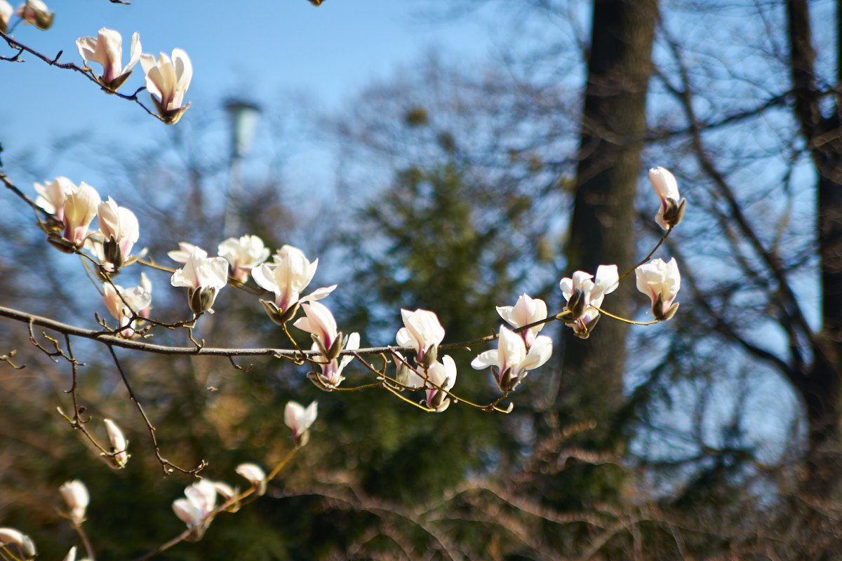 А поделитесь с нами своими фотографиями? Тут как не снимай, красиво получается 