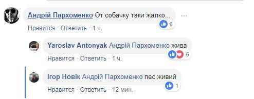Чтобы успокоить обеспокоившихся судьбой собаки, Антоняк заверил, что пес жив Чтобы успокоить обеспокоившихся судьбой собаки, Антоняк заверил, что пес жив