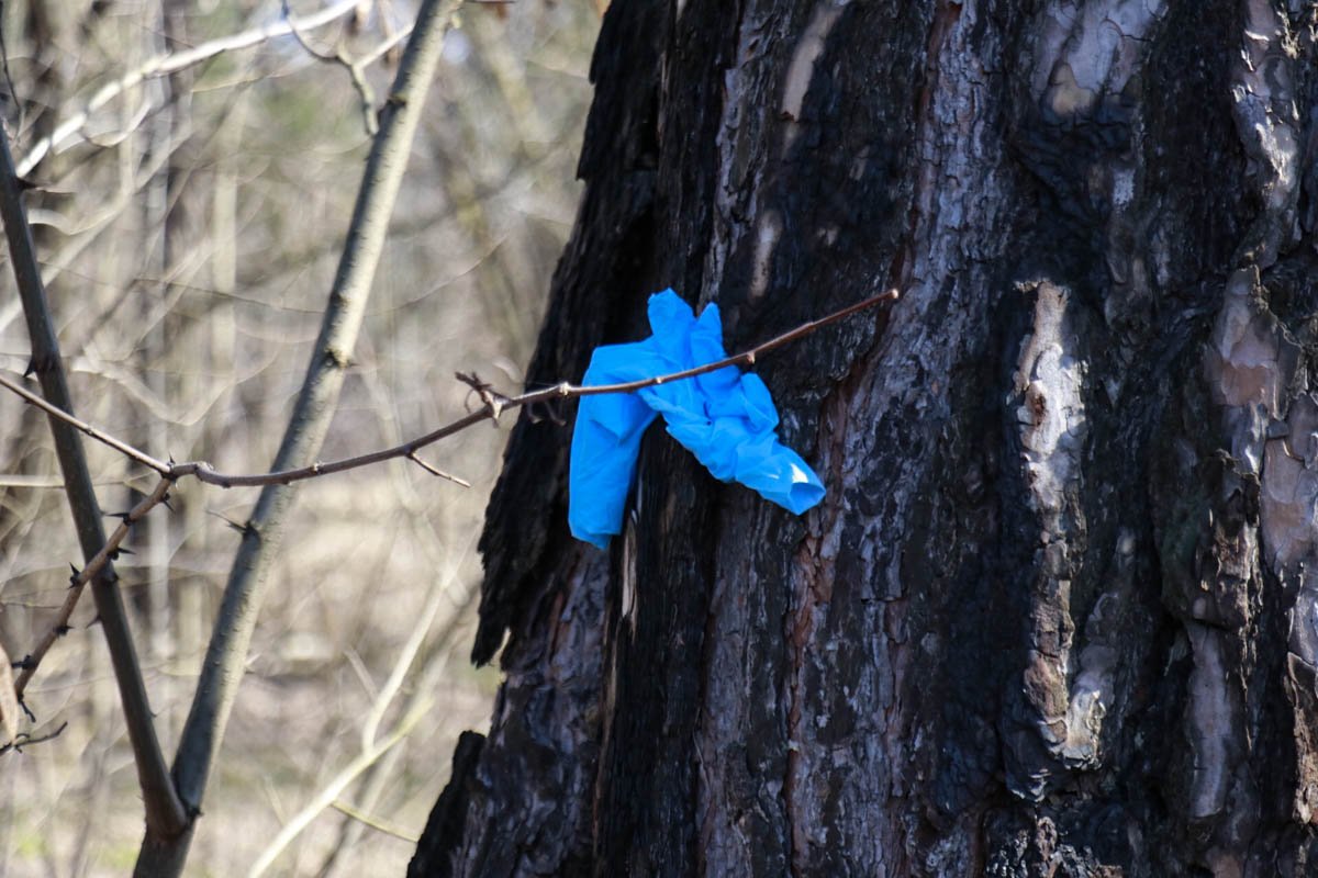 Правоохранители обследуют прилегающую территорию и выясняют детали инцидента Правоохранители обследуют прилегающую территорию и выясняют детали инцидента