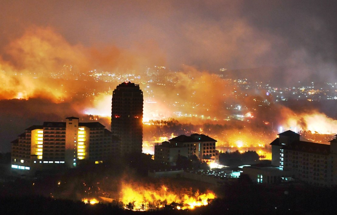 На северо-востоке Южной Кореи горят леса На северо-востоке Южной Кореи горят леса