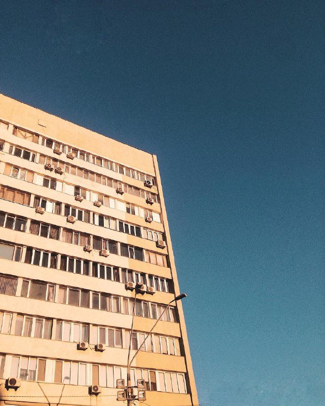 Домик загорает. Фото: @anastasiazi Домик загорает. Фото: @anastasiazi