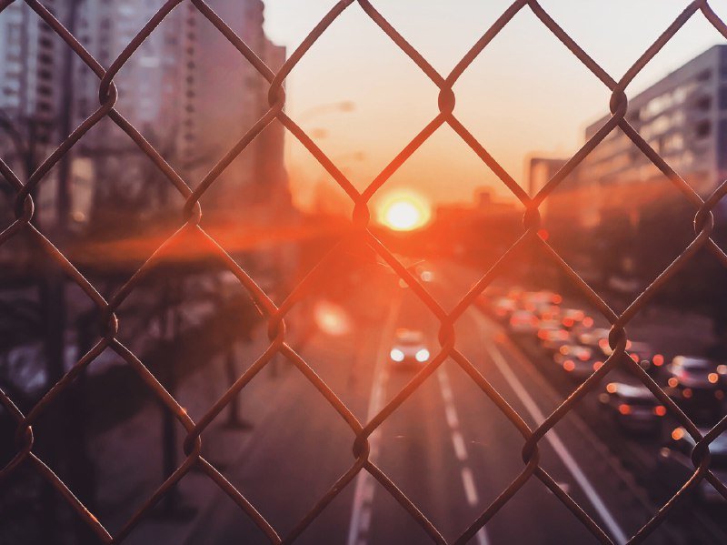 Солнце пробьется в жизнь даже сквозь ваши преграды. Фото: @solomkaa Солнце пробьется в жизнь даже сквозь ваши преграды. Фото: @solomkaa