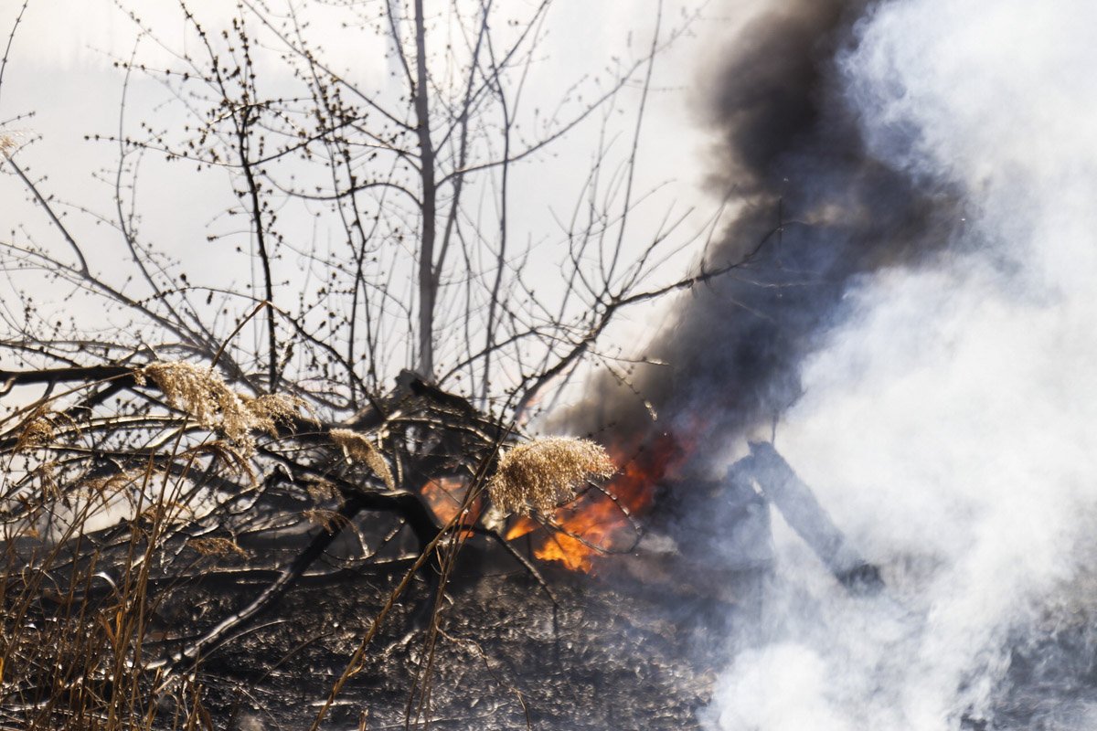 В воскресенье, 7 апреля, в Деснянском районе столицы произошел масштабный пожар В воскресенье, 7 апреля, в Деснянском районе столицы произошел масштабный пожар