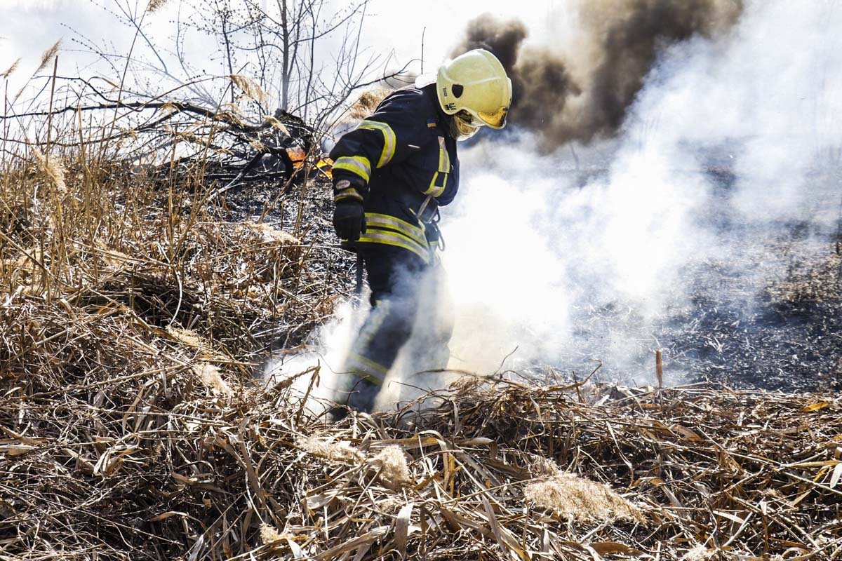 На огромной площади вспыхнул камыш На огромной площади вспыхнул камыш