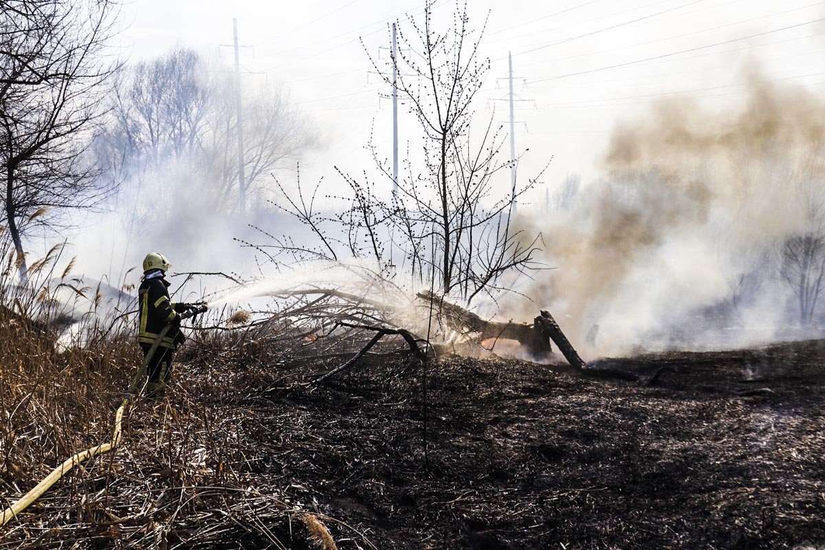 Черный дым было видно за несколько километров от места происшествия Черный дым было видно за несколько километров от места происшествия