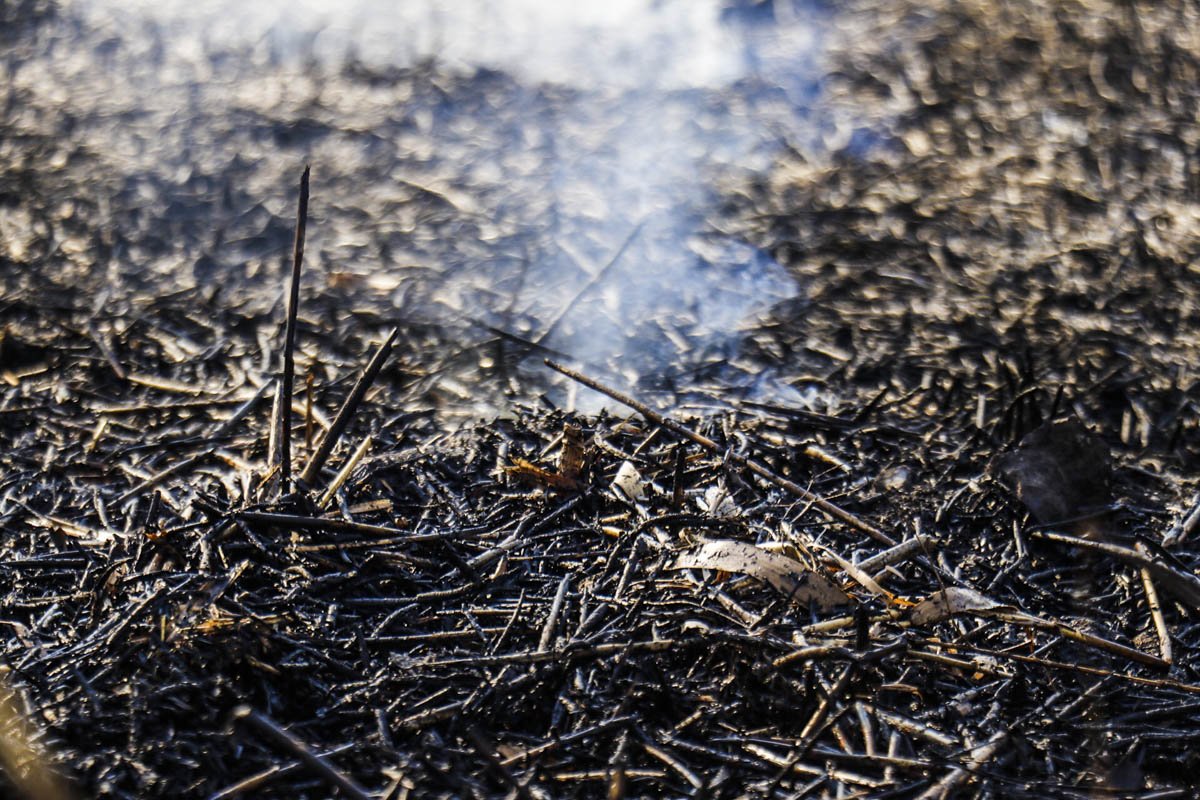 Инцидент случился около 15:00 Инцидент случился около 15:00