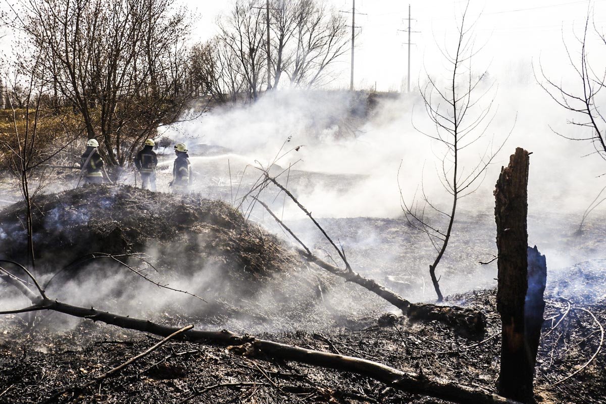 Площадь возгорания достигла 800 квадратных метров Площадь возгорания достигла 800 квадратных метров