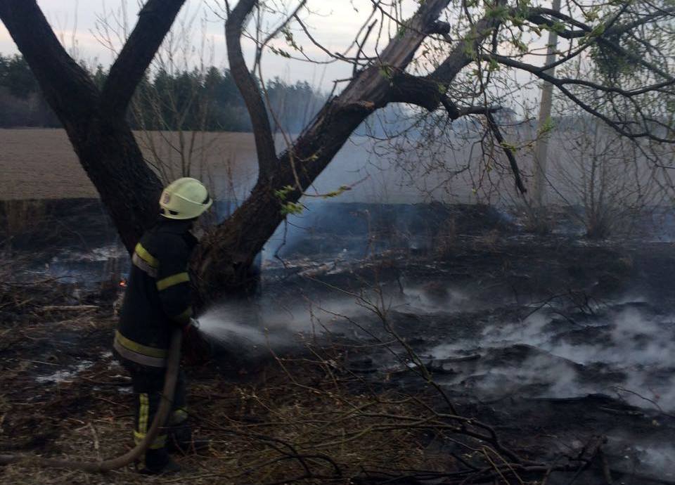 На площади 9 гектаров загорелся травяной настил
