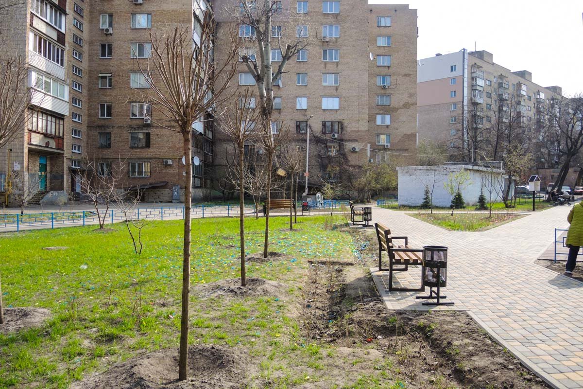 Коммунальщики посадили новые деревья Коммунальщики посадили новые деревья