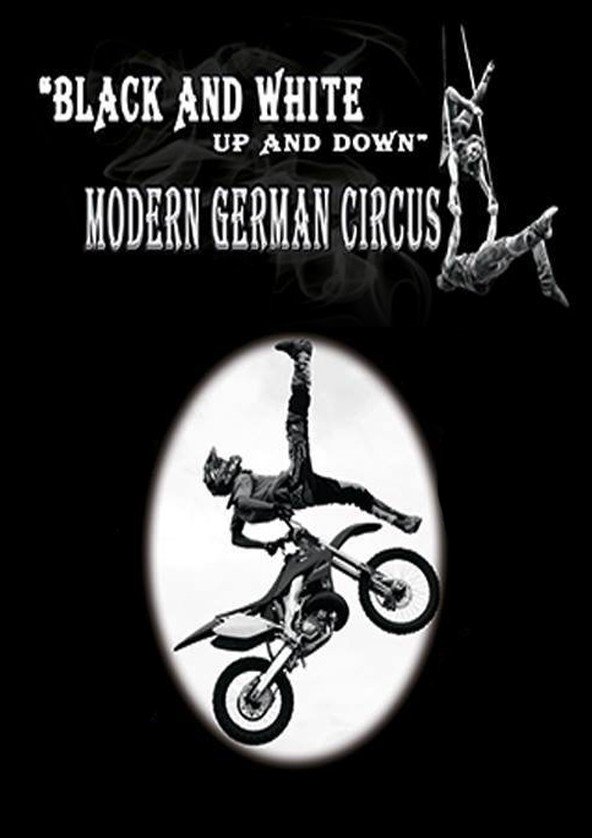 Цирки без животных сейчас намного интереснее, чем когда-либо