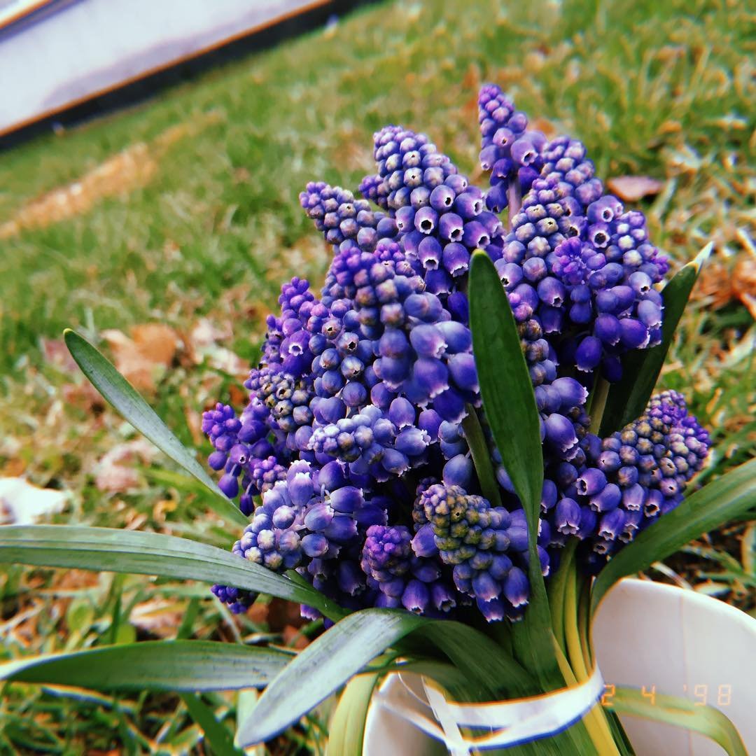 Красивый букет, даже самый маленький, поднимает настроение любой девушке. Фото: @kristy.22.11_ Красивый букет, даже самый маленький, поднимает настроение любой девушке. Фото: @kristy.22.11_