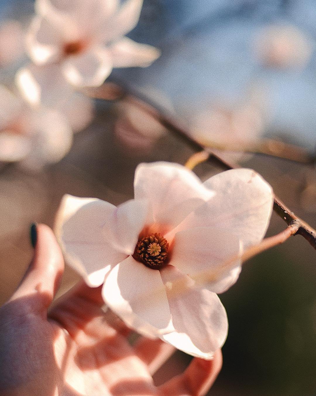 Главное - детали. Фото: @vera_nikon Главное - детали. Фото: @vera_nikon