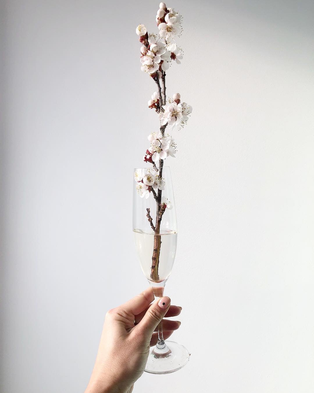 Белым по белому - утонченно, красиво, необычно. Фото: @elineckajulia Белым по белому - утонченно, красиво, необычно. Фото: @elineckajulia